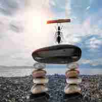 算﻿法‌软​件​有​哪﻿些‌